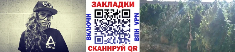 Виды наркотиков купить Лакинск A-PVP МЕФ ГАШ Кокаин